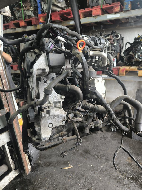 Motor VAG 1.6TDI CAY