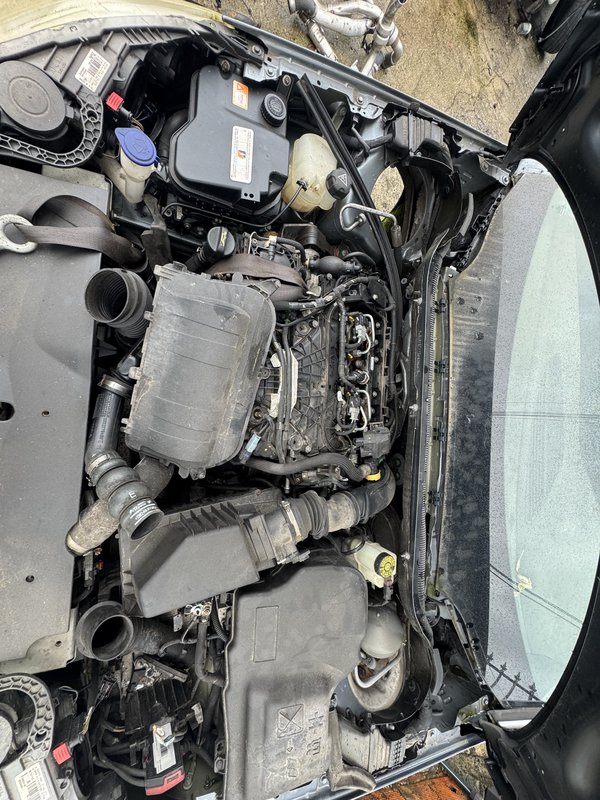 Motor PSA 2.0 hdi RH02
