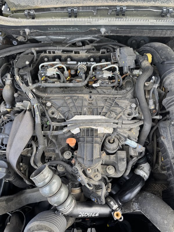 Motor PSA 2.0 hdi RH02