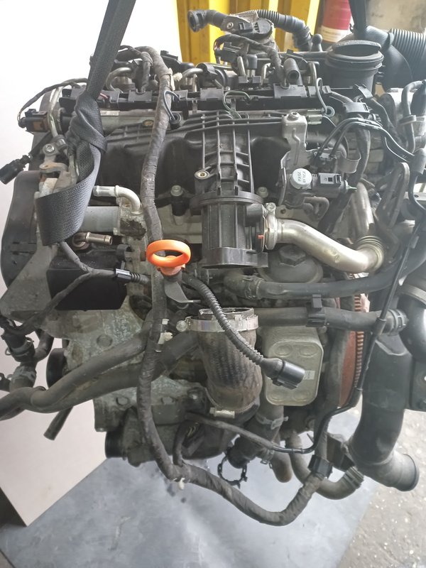 Motor VAG 1.6 TDI CAYH