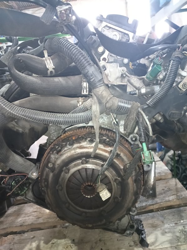 Motor PSA 2.0i 16v EW10