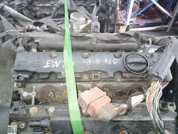 Motor PSA 2.0i 16v EW10