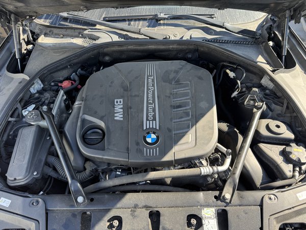 Motor BMW Serie 5 530XD F11 N57D30A