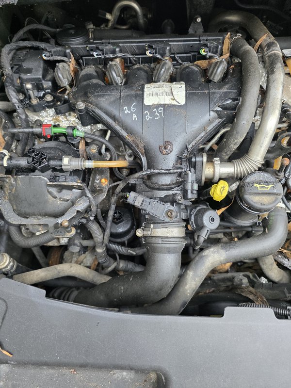 Motor Ford 2.0 TDCi 140 cv QXWB