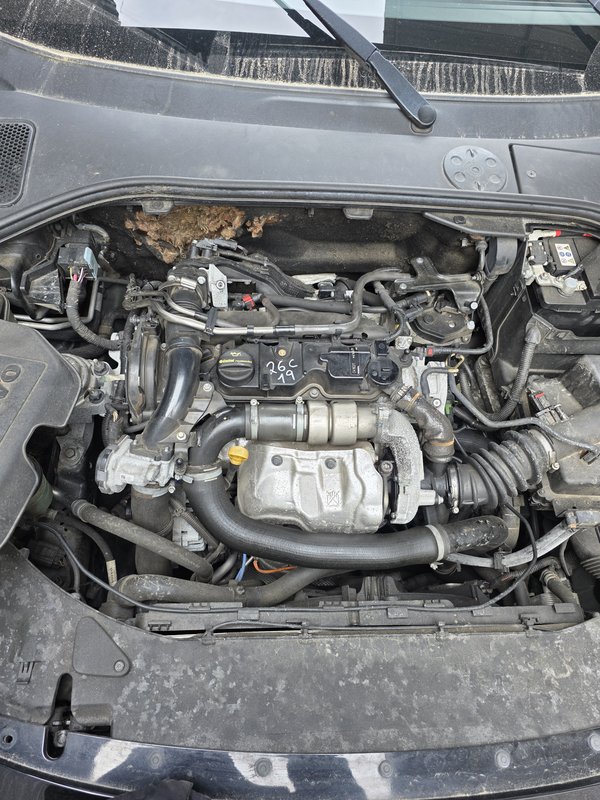 Motor Volvo 1.6 D D4162T