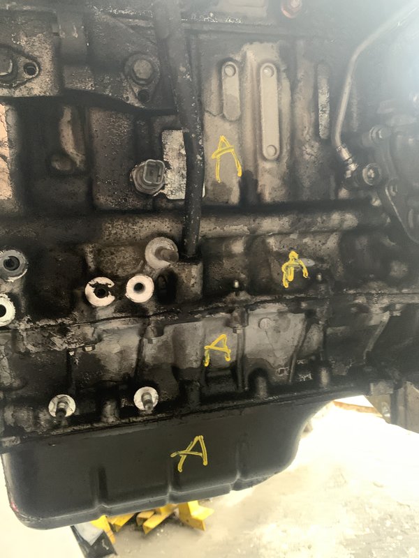 Motor PSA 1.4 HDI 68cv 8HZ