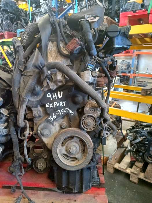 Motor PSA Expert 1.6 HDI 9HU