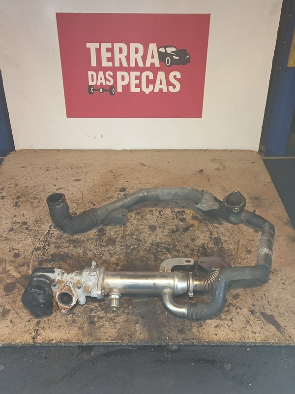 Valvula EGR Ford/PSA 2.0 TDCI/HDI 9645689780 PSA 2.0 RH01