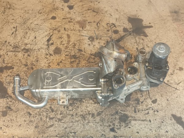 Radiador EGR VAG 1.6 TDI 03L131512