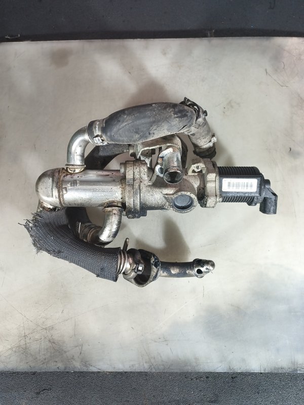 Valvula EGR Opel Fiat 1.3 CDTI JTD 55219490