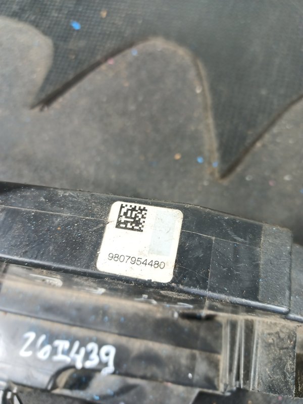 Fecho Porta Grupo PSA FRENTE ESQUERDA 9807954480