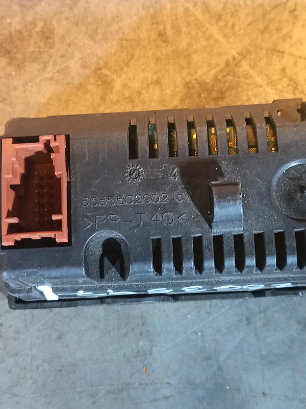 Display Radio Grupo PSA Ecra multifuncoes 5555502902