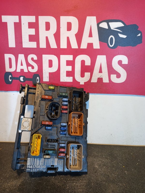 BSM peugeot Citroen L11-00 9661708280