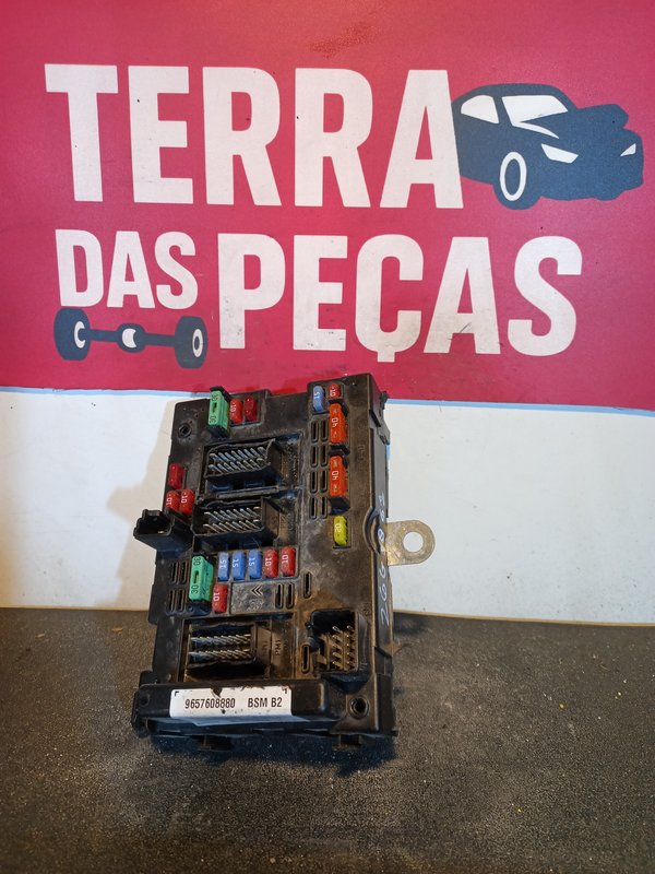 BSM PSA 307 2.0 HDI B2 9657608880 B2