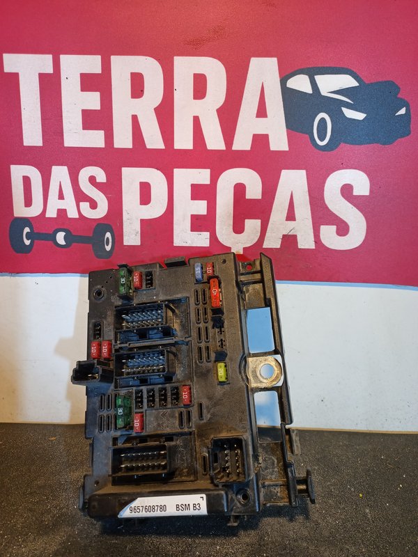BSM B3 Peugeot 206 9657608780 B3