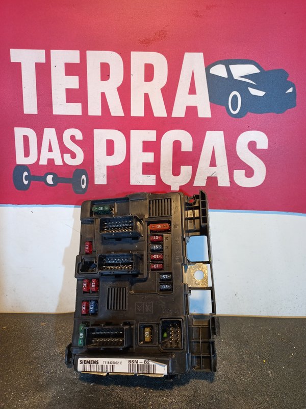 BSM Peugeot 206 B2 9643498980 B2