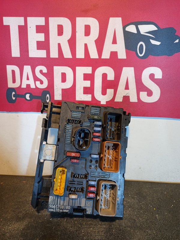 BSM PEUGEOT CITROEN 9661708180 L10-00