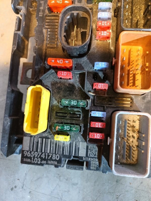 BSM PEUGEOT CITROEN 9659741780 L03-00