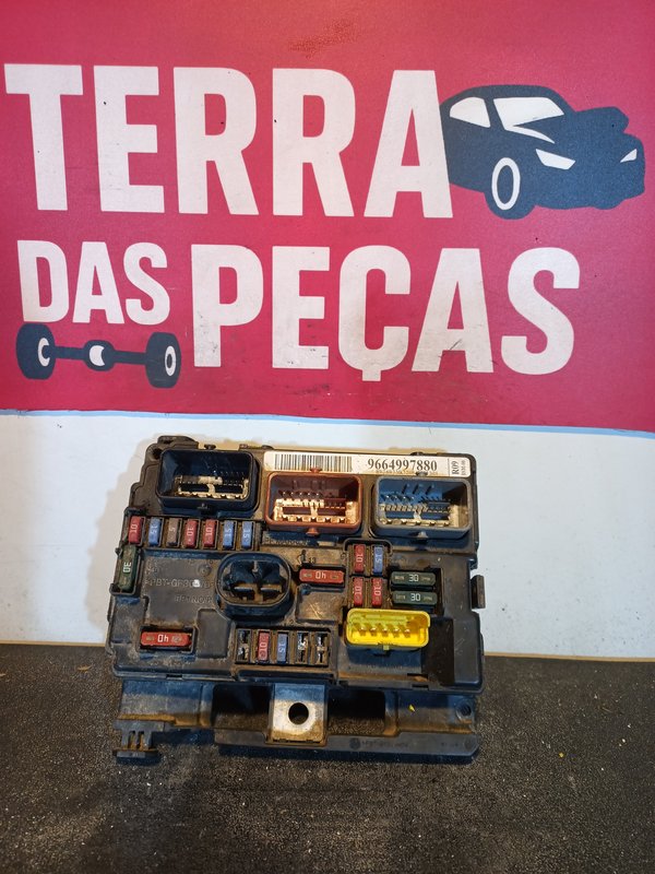 BSM PEUGEOT CITROEN 9664997880 R09-00