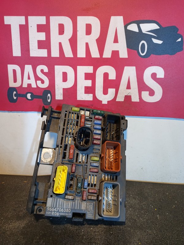 BSM PEUGEOT CITROEN 9664706380 R06-00