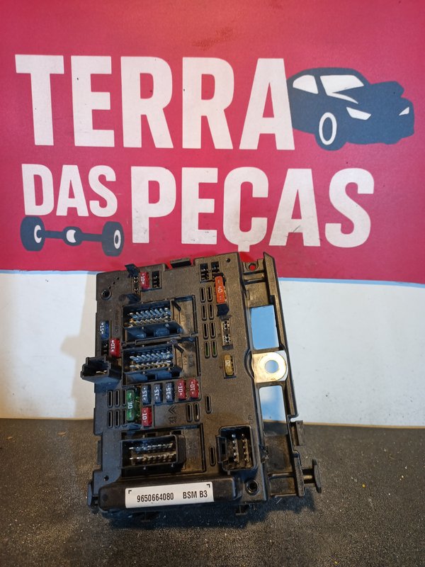 BSM PEUGEOT CITROEN 9650664080 B3