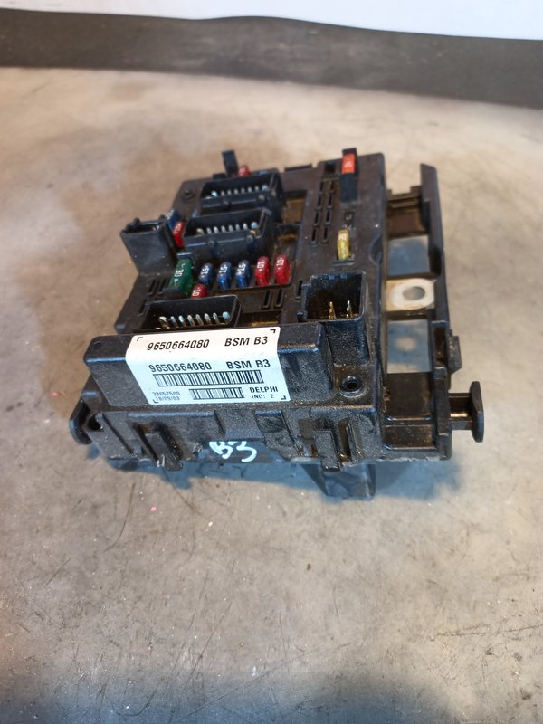 BSM PEUGEOT CITROEN 9650664080 B3