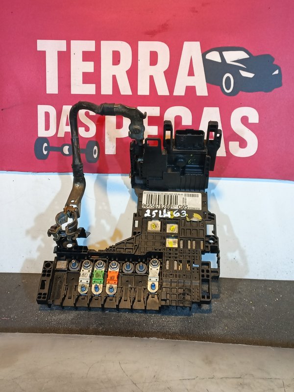 BPGA Citroen C4 II 9665878280