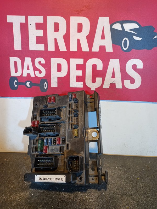 BSM PEUGEOT CITROEN 9646405280 B3