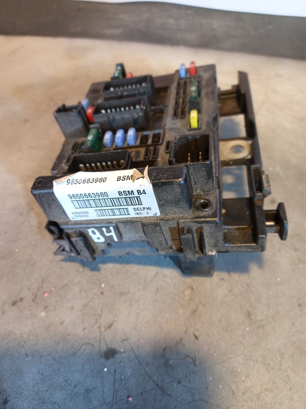 BSM PEUGEOT CITROEN 9650663980 B4