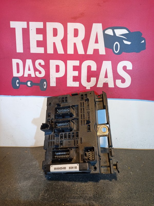 BSM PEUGEOT CITROEN 9646405480 B5