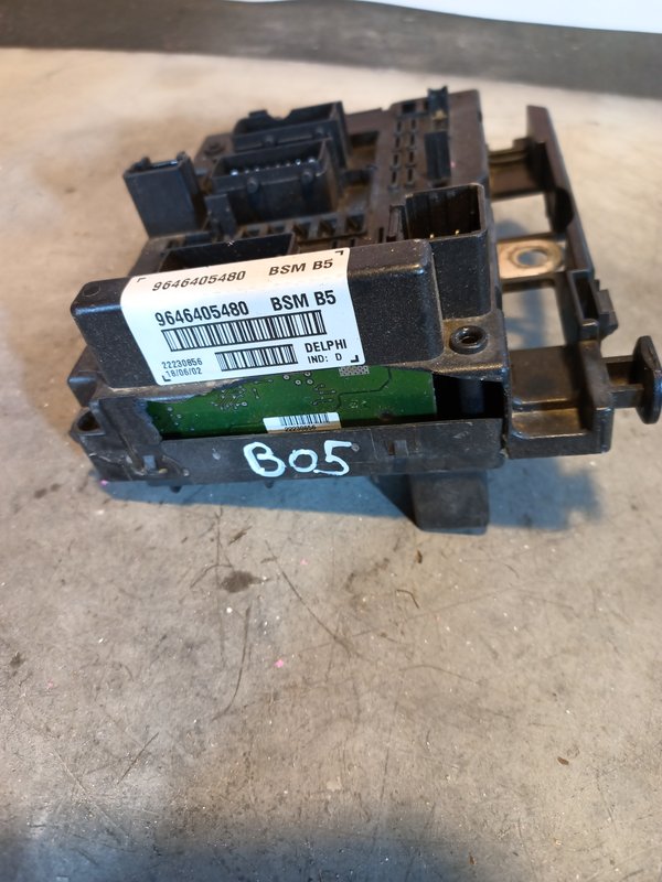 BSM PEUGEOT CITROEN 9646405480 B5