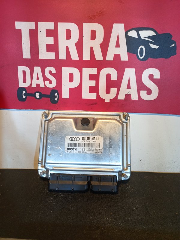 Centralina Motor AUDI A4 1.9 TDI 038906019LJ