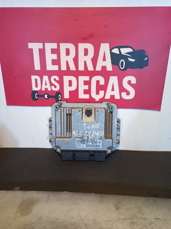 Centralina Motor GROUP PSA 9662212480