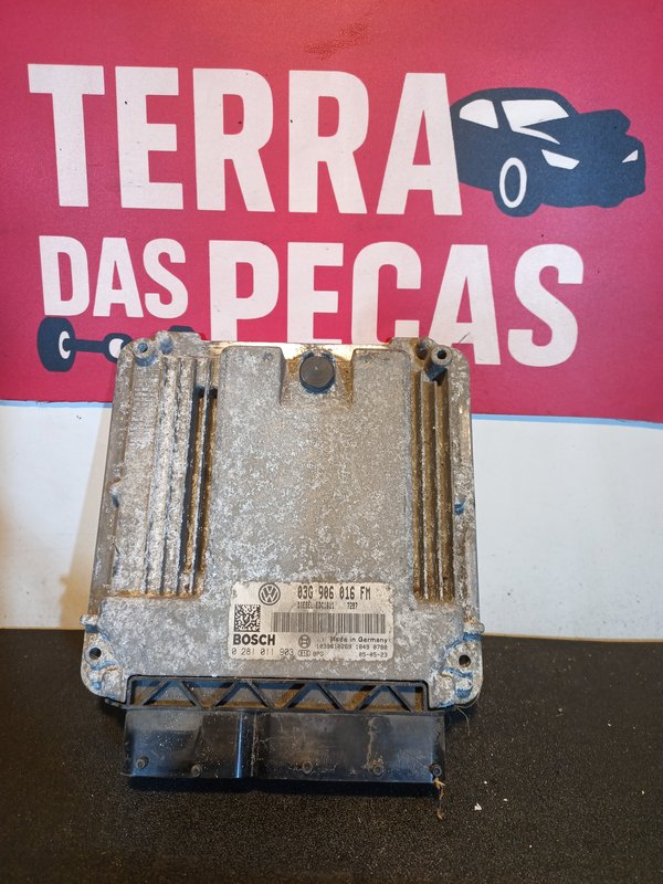 Centralina Motor VW 2.0 TDI 03G906016FM