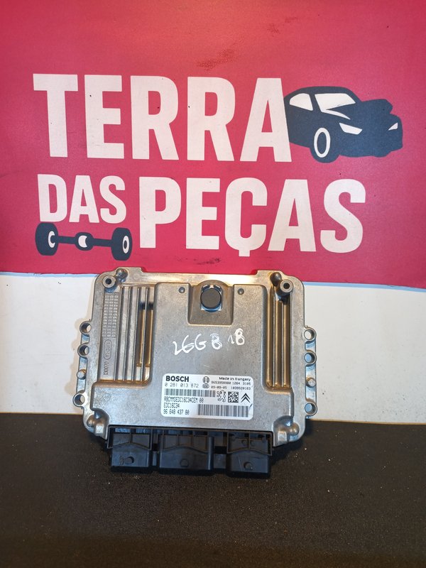 Centralina Motor Peugeot 207 1.6 HDI 9664843780