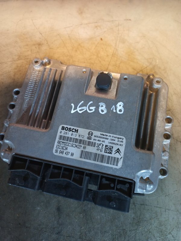 Centralina Motor Peugeot 207 1.6 HDI 9664843780