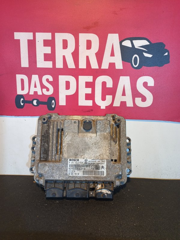 Centralina Motor GROUP PSA 9666579080