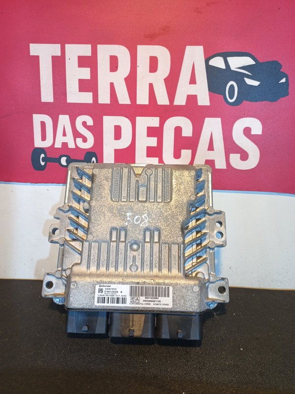 Centralina Motor GROUP PSA 9801622880