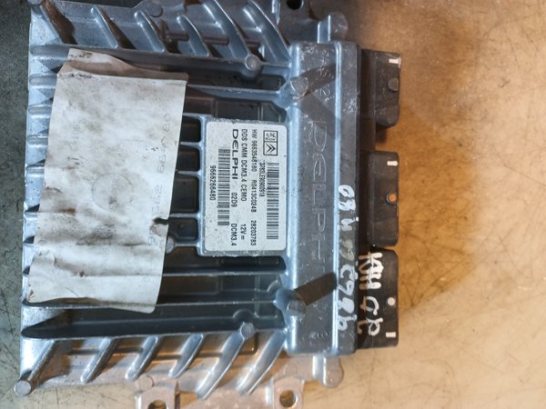 Centralina Motor GROUP PSA 9666266480